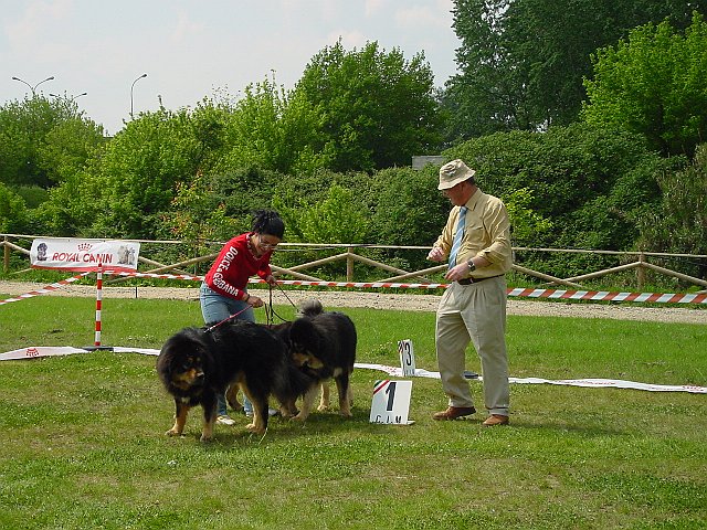 Immagine 081.jpg